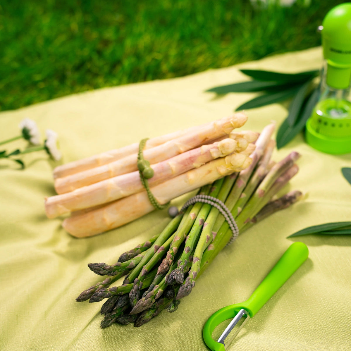 Bündel aus weißem und grünem Spargel, die mit dem Allzweckbinder der Firma Kochblume GmbH zusammengebunden sind, liegen auf einem gelben Tuch neben einem Schäler draußen auf dem Rasen.