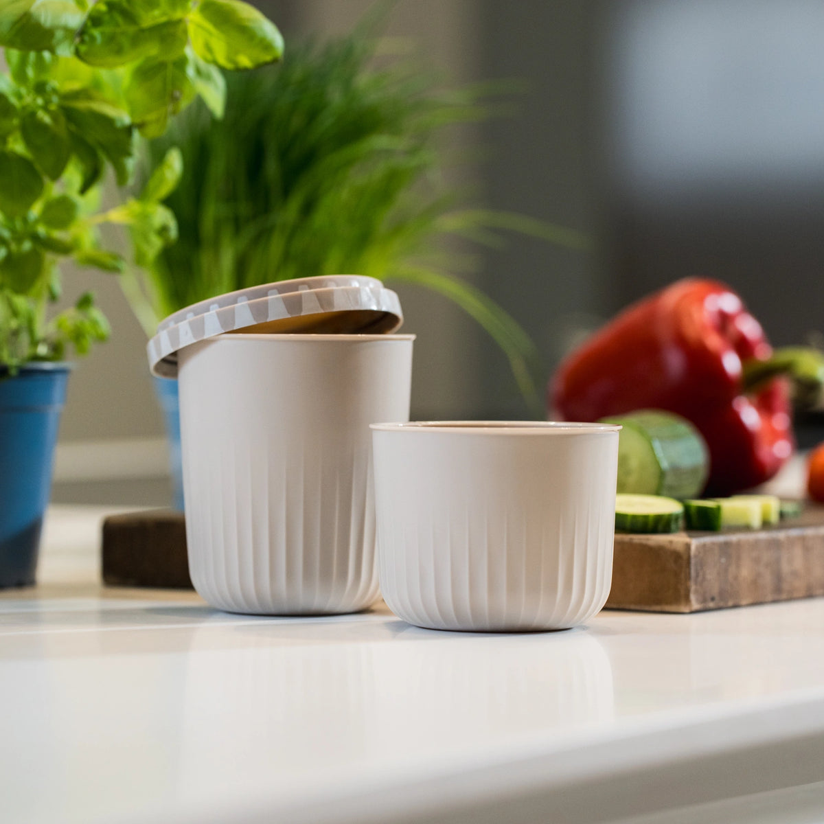 Zwei weiße, gerippte Behälter der Firma Kochblume GmbH, einer davon mit Deckel, stehen auf einer Küchenarbeitsplatte, im Hintergrund sind Gemüse und Pflanzen zu sehen – perfekt als auslaufsichere Snackbox für unterwegs.